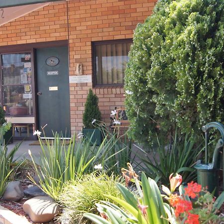 Ningana Motel Mudgee Exteriér fotografie