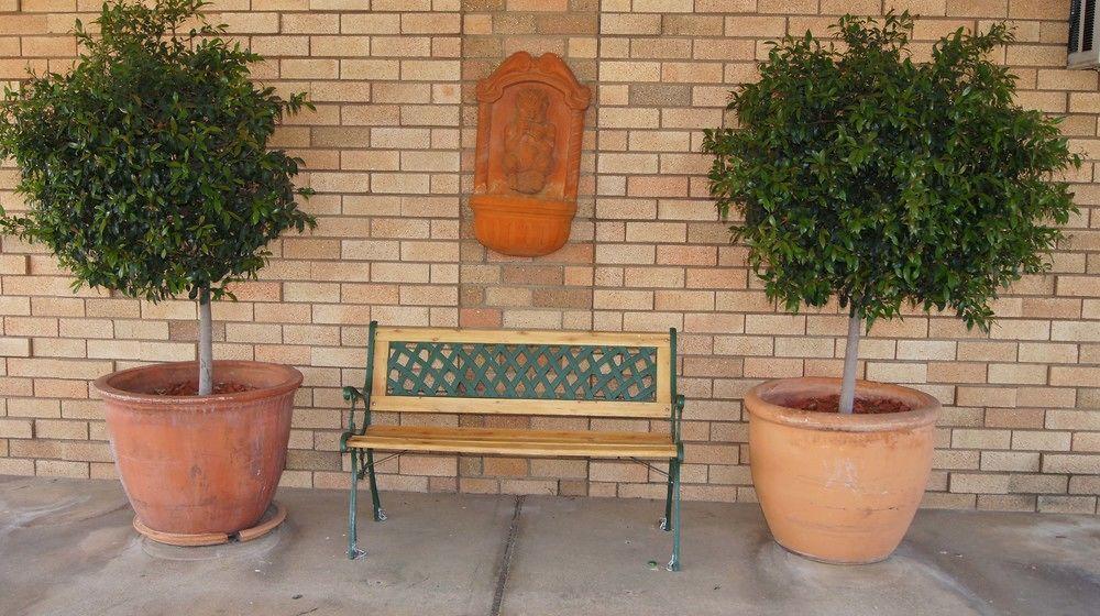 Ningana Motel Mudgee Exteriér fotografie